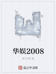 華娛2008小说封面