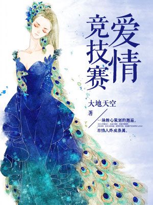 愛情競技賽小说封面